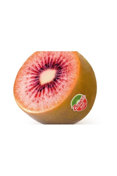 Actinidia deliciosa `Zespri Red`